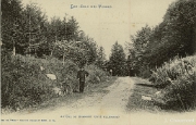 Les Cols des Vosges. - Au Col de Bramont (Côté Allemand)